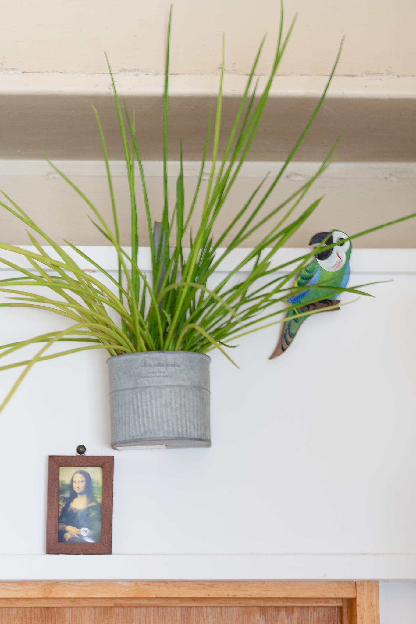 壁の植物と小鳥