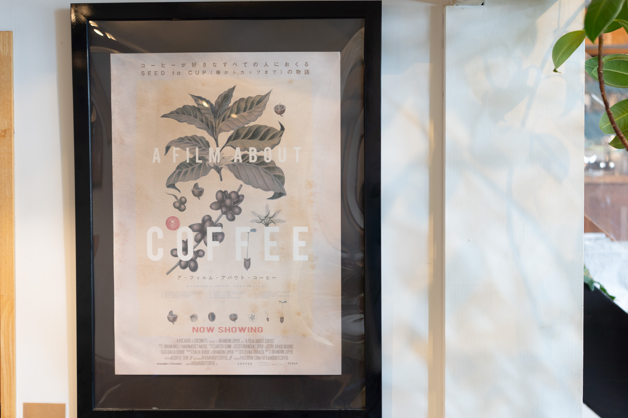 コーヒー生産者からの手紙