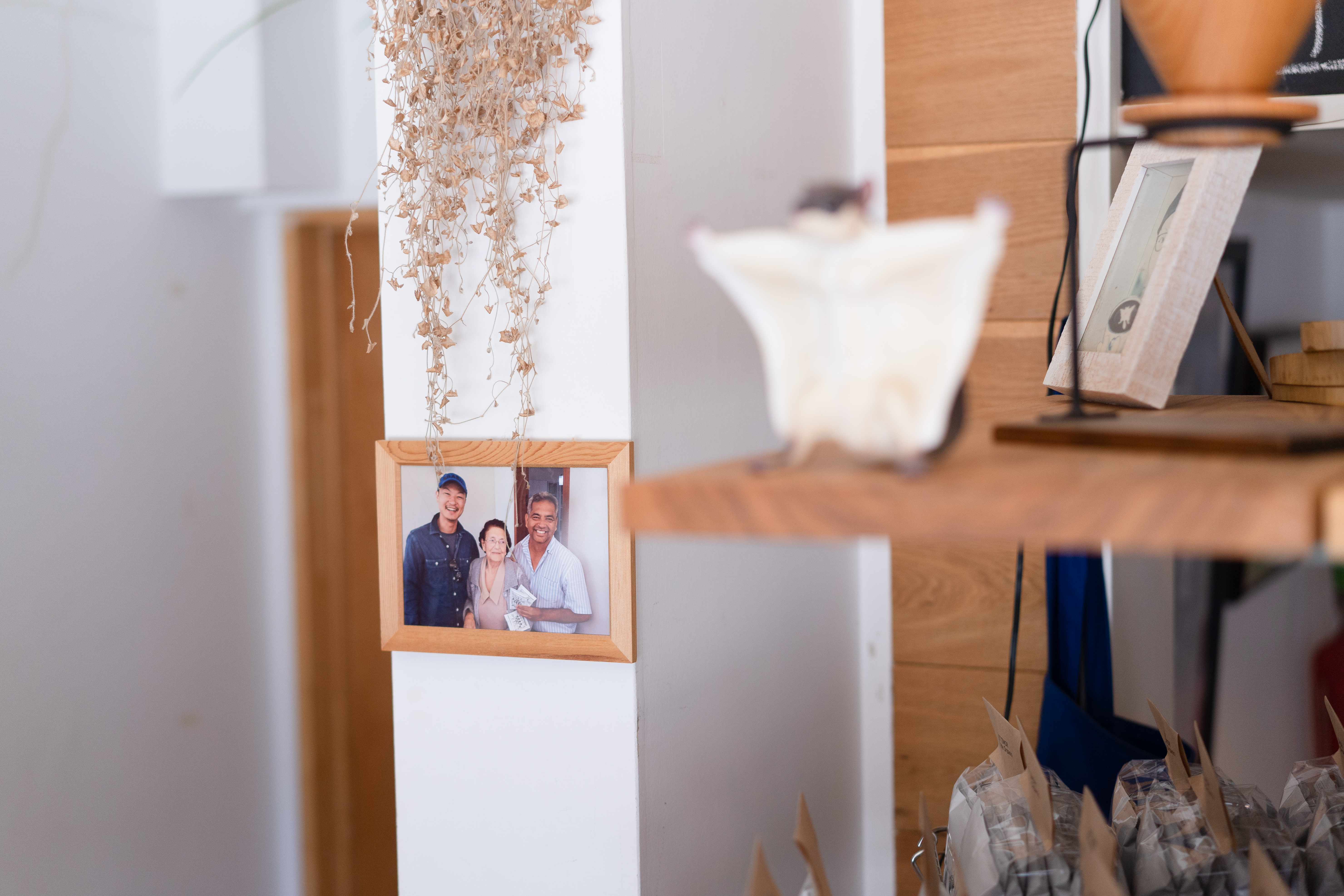 モモンガコーヒーの空間